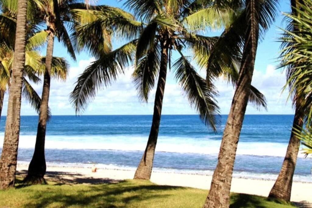 Maison De Vacances, Decouvrir Le Sud De La Reunion Petite Île Eksteriør bilde