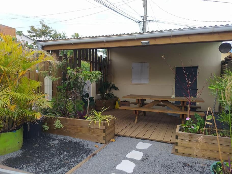 Maison De Vacances, Decouvrir Le Sud De La Reunion Petite Île Eksteriør bilde